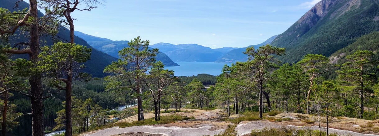 Foto med parti frå Kinsarvik mot fjorden